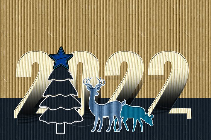 Bonne année 2022