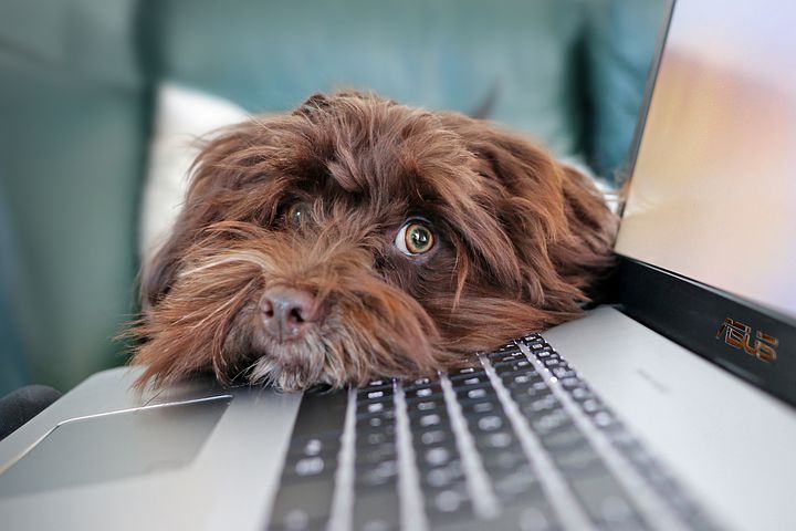 Négociations patronat/syndicats sur le télétravail : entre quatre yeux ?