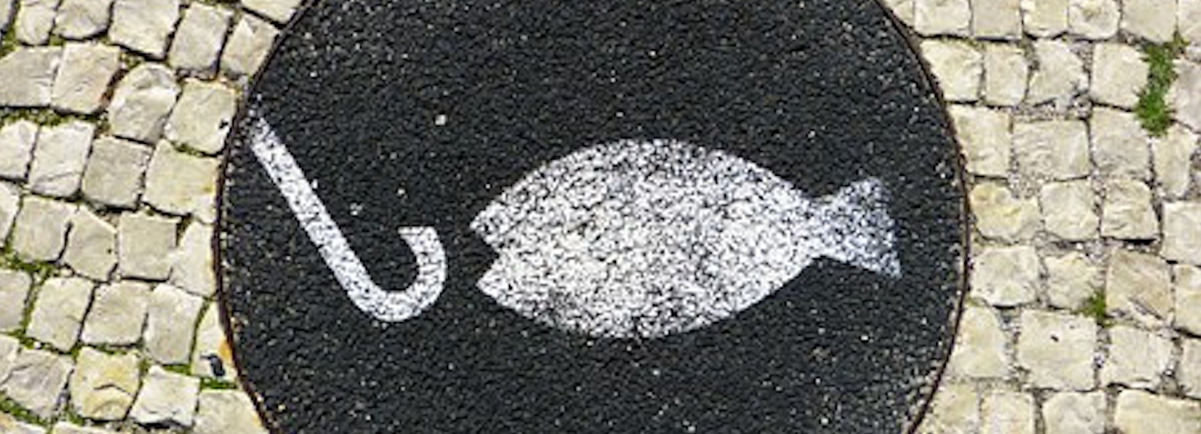 Noyer le poisson : pour vous faire mieux mordre à l’hameçon ?